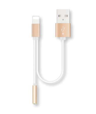 2 in 1 Lightning Adapter for iPhone 7 8 X , Splitter 2-Port Lightning Headphone Audio and Charger Adapter