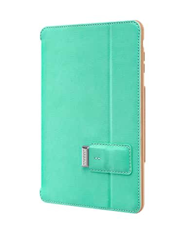 SwitchEasy Pelle Mint Green