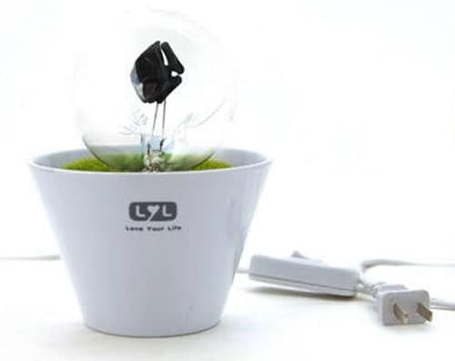 LED Flower Pot Night Light