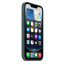Silicone Case With MagSafe Lake Green for Apple iPhone 16e 