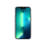 Tech21 Evo Check iPhone 13 Pro Max Case Clear