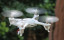Black Stealth 8cm Mini Drone
