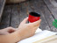 Spider-Man Thermos Bottle