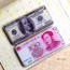 $100 Bill Money Case For iPhone 5 5S