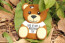 Toy Bear Case for iPhone 5 5S