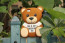 Toy Bear Case for iPhone 5 5S