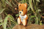 Toy Bear Case for iPhone 5 5S