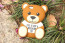 Toy Bear Case for iPhone 5 5S