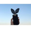 Elegant Bunny Ears Case for iPhone 6 6s Plus