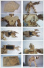 DIY Solar Kits Robot Warrior