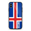 Iceland Flag Logo World Cup iPhone X Case