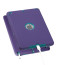 iPad Pro 9.7 Defender Case Purple / Teal