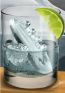 Gin & Titonic Cruise Ship Ice Cube Tray Cake Mold