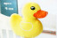 Giant Cute Yellow Duck Pillow (100 cm x 150 cm) (3.25ft x 5 ft)