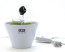 LED Flower Pot Night Light