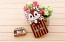Cute Chip and Dale HTC One M9 Flip Wallet Character Case