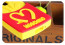 French Fries Case for Galaxy S5 Mini