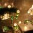 Decorative Stylish Ball LED Lights 5 Meters 16 Feet 20 Lights